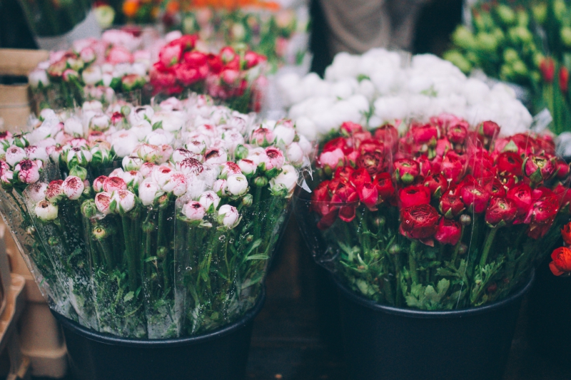 fleuriste-BEUIL-min_farmers-market-1209712